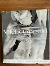 Michelangelo by Nicholas Wadley ~ Spring Art Books 1965