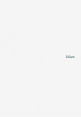 Lilium