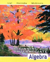 Beginning and Intermediate Algebra