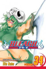Bleach, Vol. 34 Vol. 34