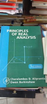 Principles of real analysis