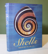 Shells