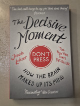 The Decisive Moment: how the brain makes up its mind