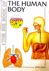 The Big Book of human body