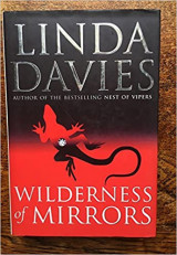Wilderness of mirrors