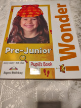 I wonder pre-junior Workbook