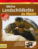 Meine Landschildkröte zu Hause