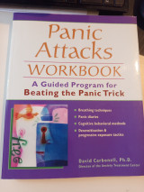 Panic Attacks workbook: A guided program for beating the panic trick
