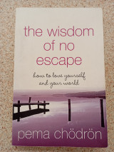 The Wisdom of No Escape