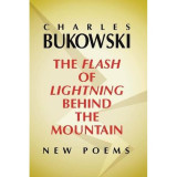 The flash of Lightning Behind the Mountain