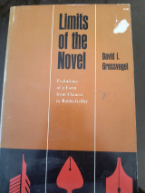 Limits of the novel