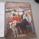 Νεχωρίτικα 40