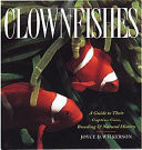 Clownfishes
