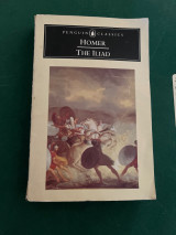 Homer the Iliad