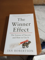 The winner effect