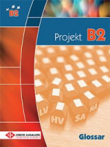 Projekt B2 - Glossar
