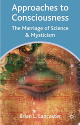 Approaches to Consciousness