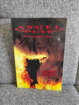 Angel fire (the graphic novel)