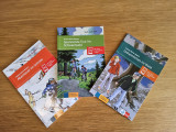 Unheimliches im Wald
