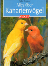 Alles über Kanarienvögel