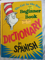 Dictionary in Spanish beginner book