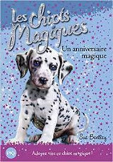 Un anniversaire magique