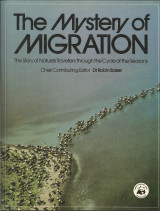 The Mystery of Migration