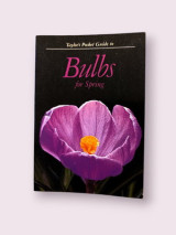 Bulbs for spring