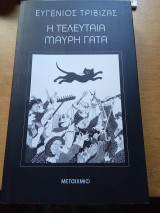 Η τελευταία μαύρη γατα