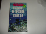 Marine Life in the South China Sea Insight Guide