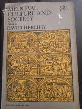 Medieval culture and society