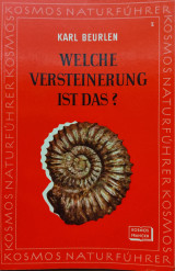 Welche Versteinerung Ist Das?