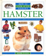 Hamster