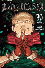 Jujutsu Kaisen Vol 30