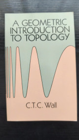 A Geometric Introduction to Topology