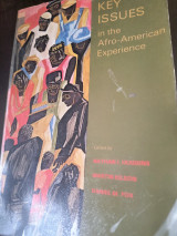 Key issues in the Afro-American experience