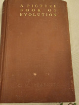 A Picture Book of Evolution