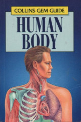 Human Body