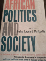 African politics and society