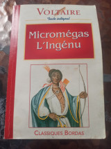 Micromégas