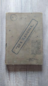 Στα κανόνια