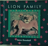 Lion family