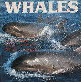 Whales