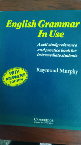 English Grammar In Use With Answers Edition
