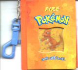Pokemon fire