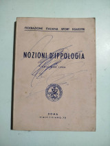 Nozioni d'ippologia