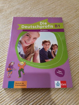 Die Deutschprofis B1 Übungsbuch