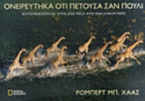 ΟΝΕΙΡΕΥΤΗΚΑ ΟΤΙ ΠΕΤΟΥΣΑ ΣΑΝ ΠΟΥΛΙ