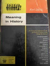 Meaning in history