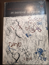 In defense of youth